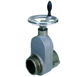 gate valve