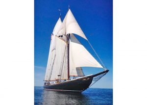 bluenose